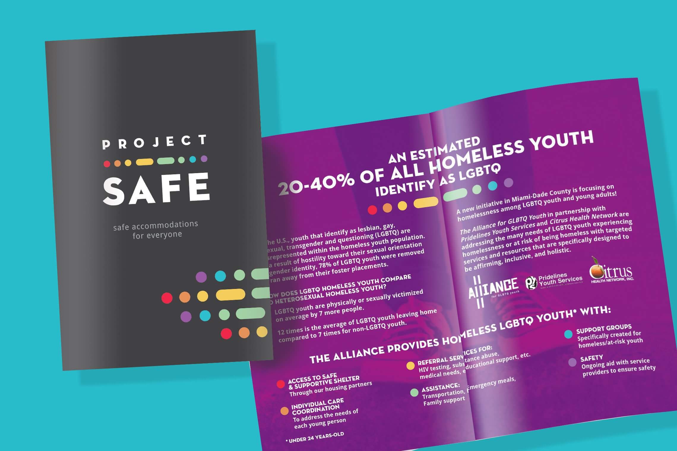 Project Safe marketing pamphlet design